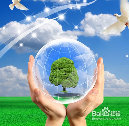 環(huán)保日常行為規(guī)范有哪些