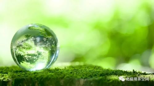 生命,就是一趟旅程